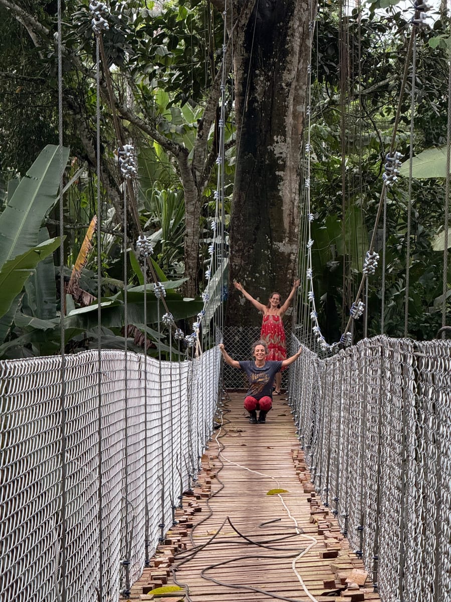 A bridge like this