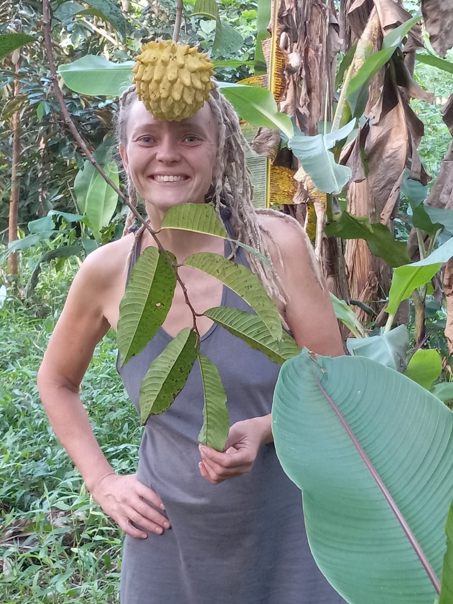Fresh tropical fruit from the land.