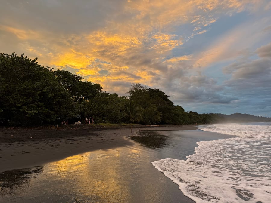 Sunset over beach and jungle