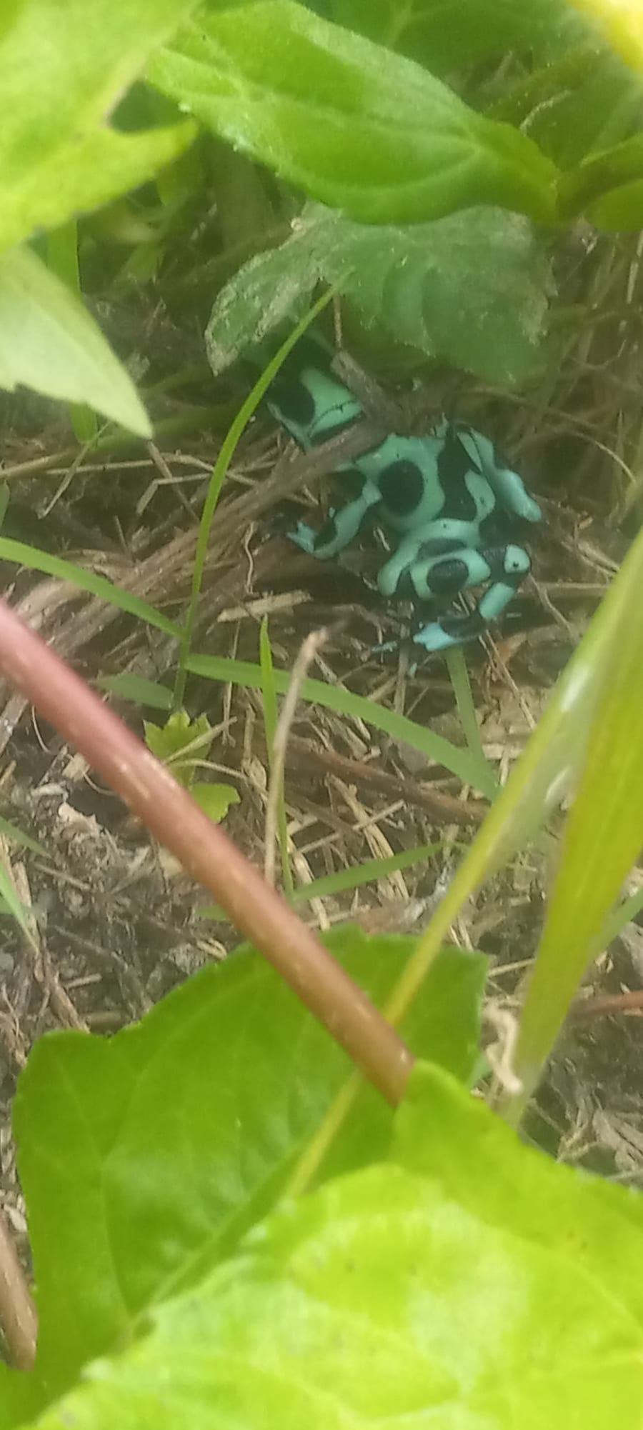 Let the wildlife live too!