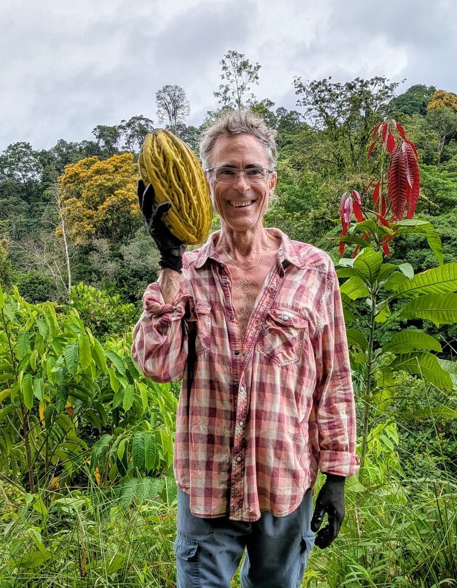 Freshly harvested pataste