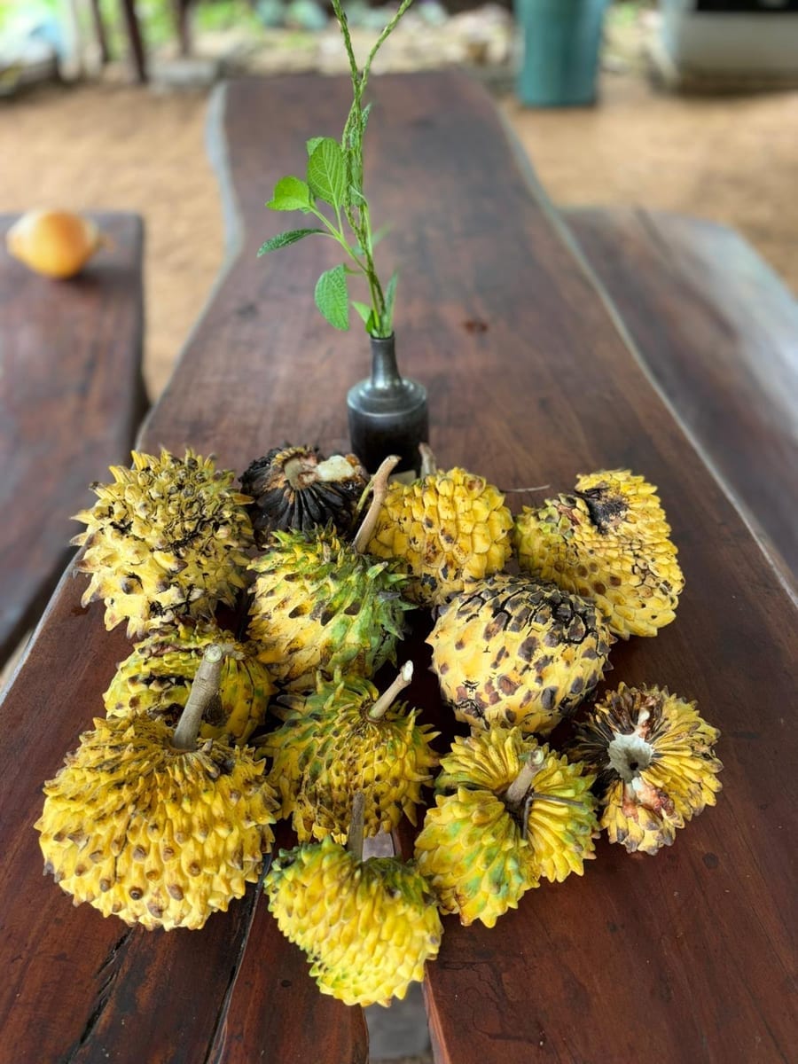 Garden-to-table abundance.