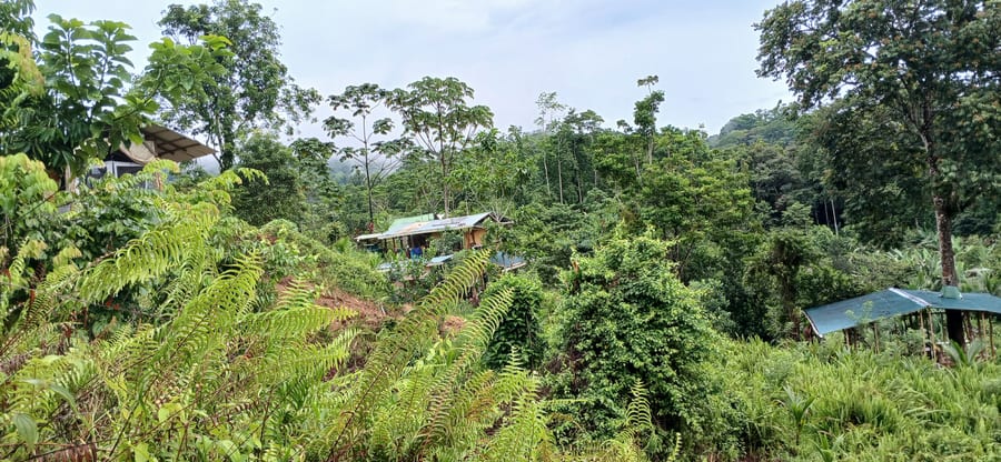 Building on your own parcel