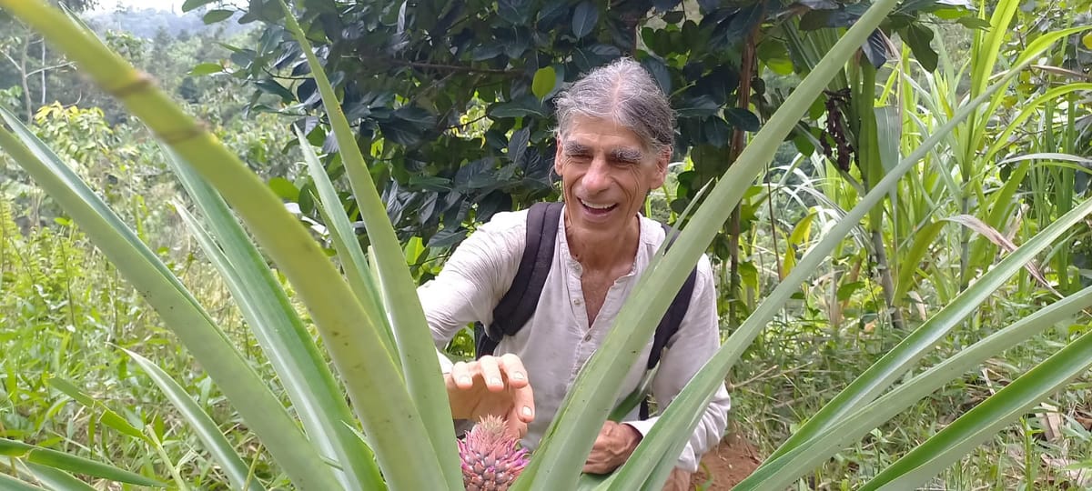 Permaculture at Valle Armonia.
