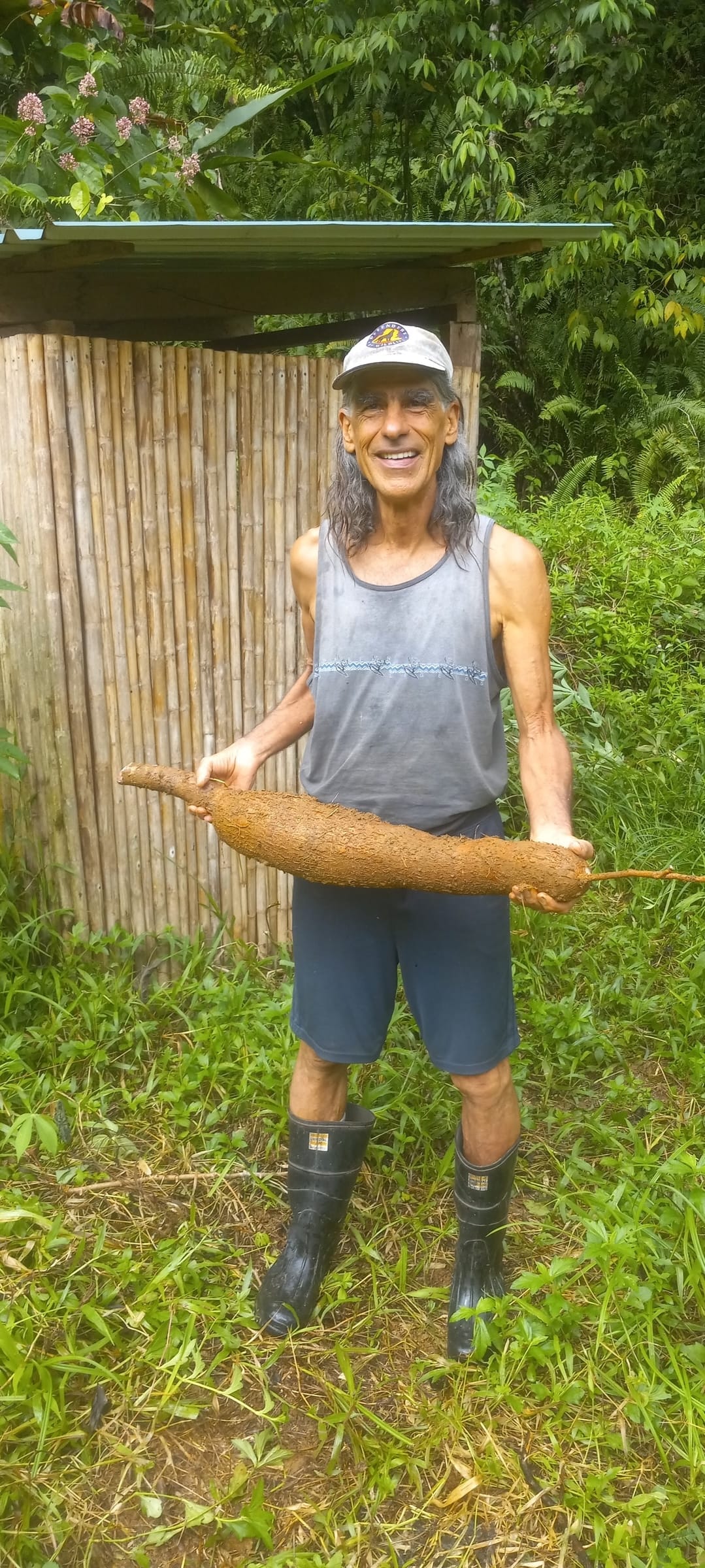 Mark's largest yuca ever