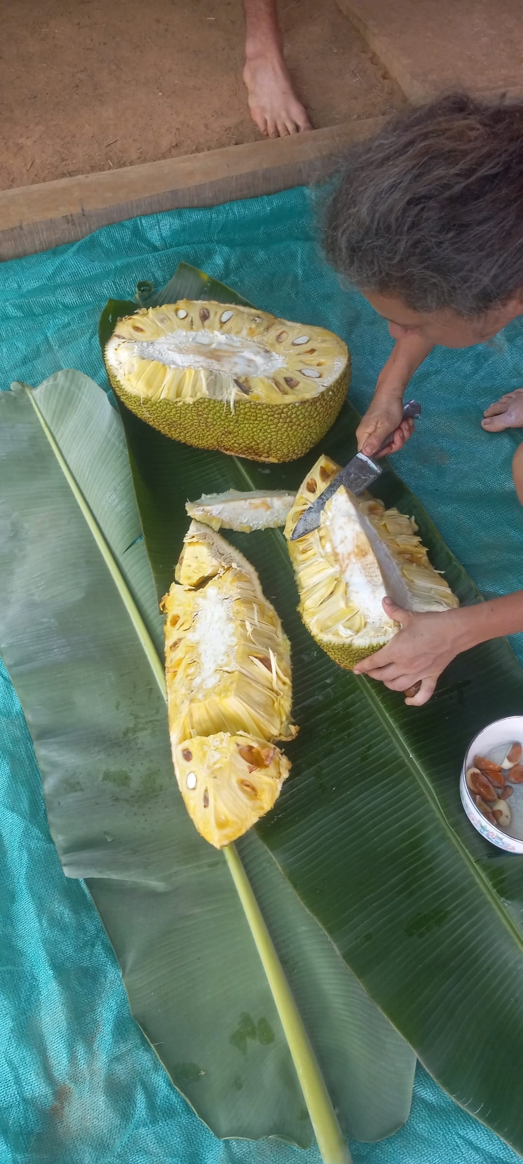 Jack fruit can grow to 15 kg or more