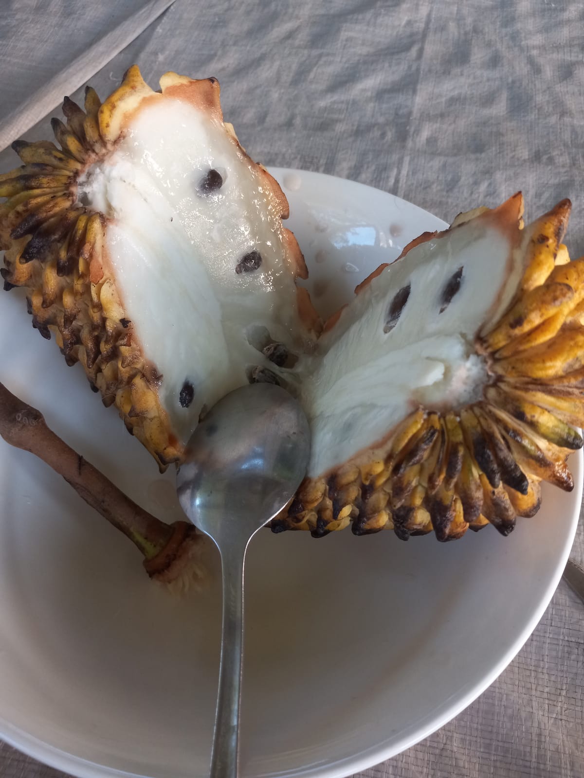 Inside a bariba