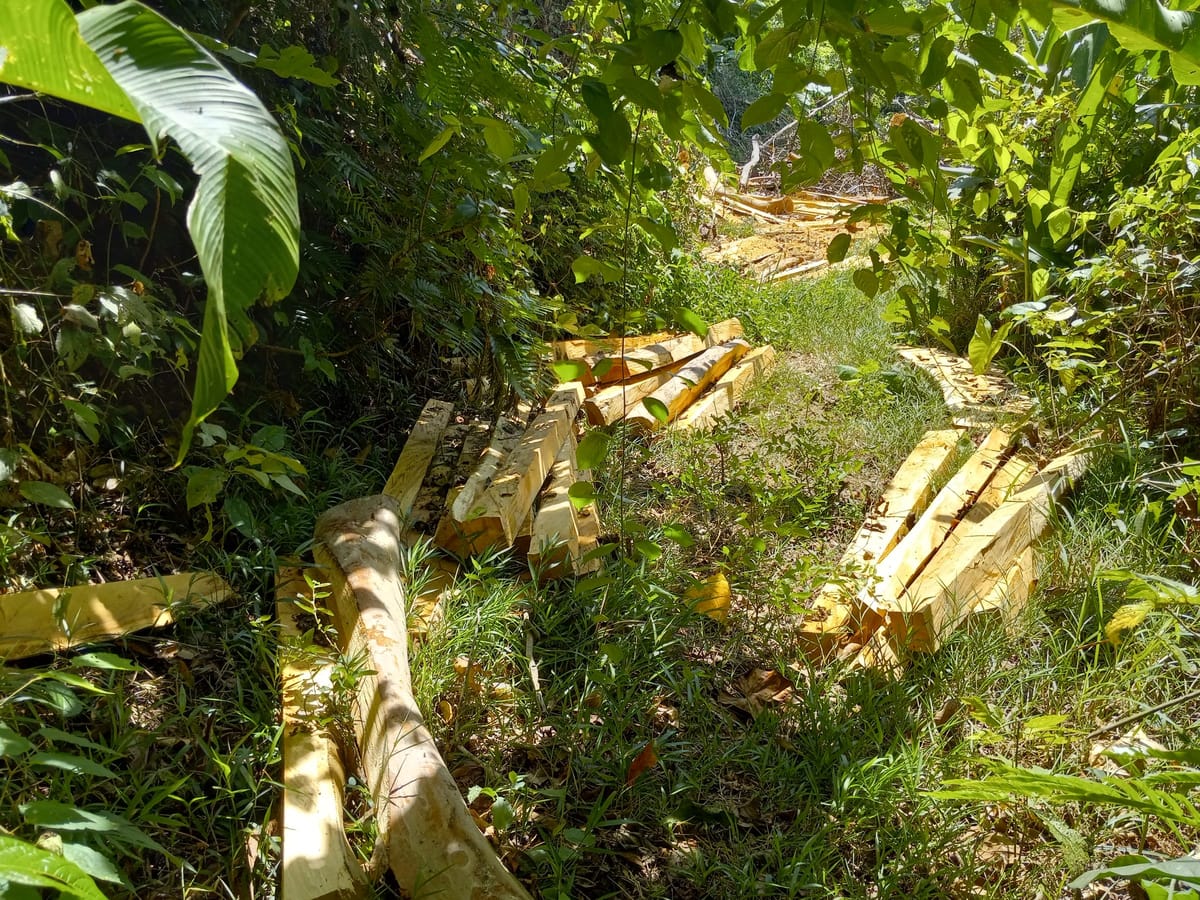 Kasha posts for building