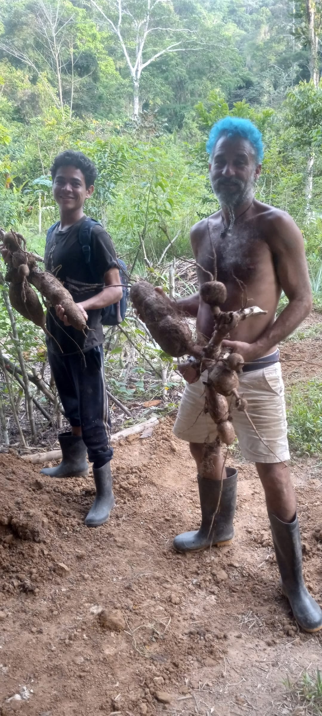 Permaculture at Valle Armonia.