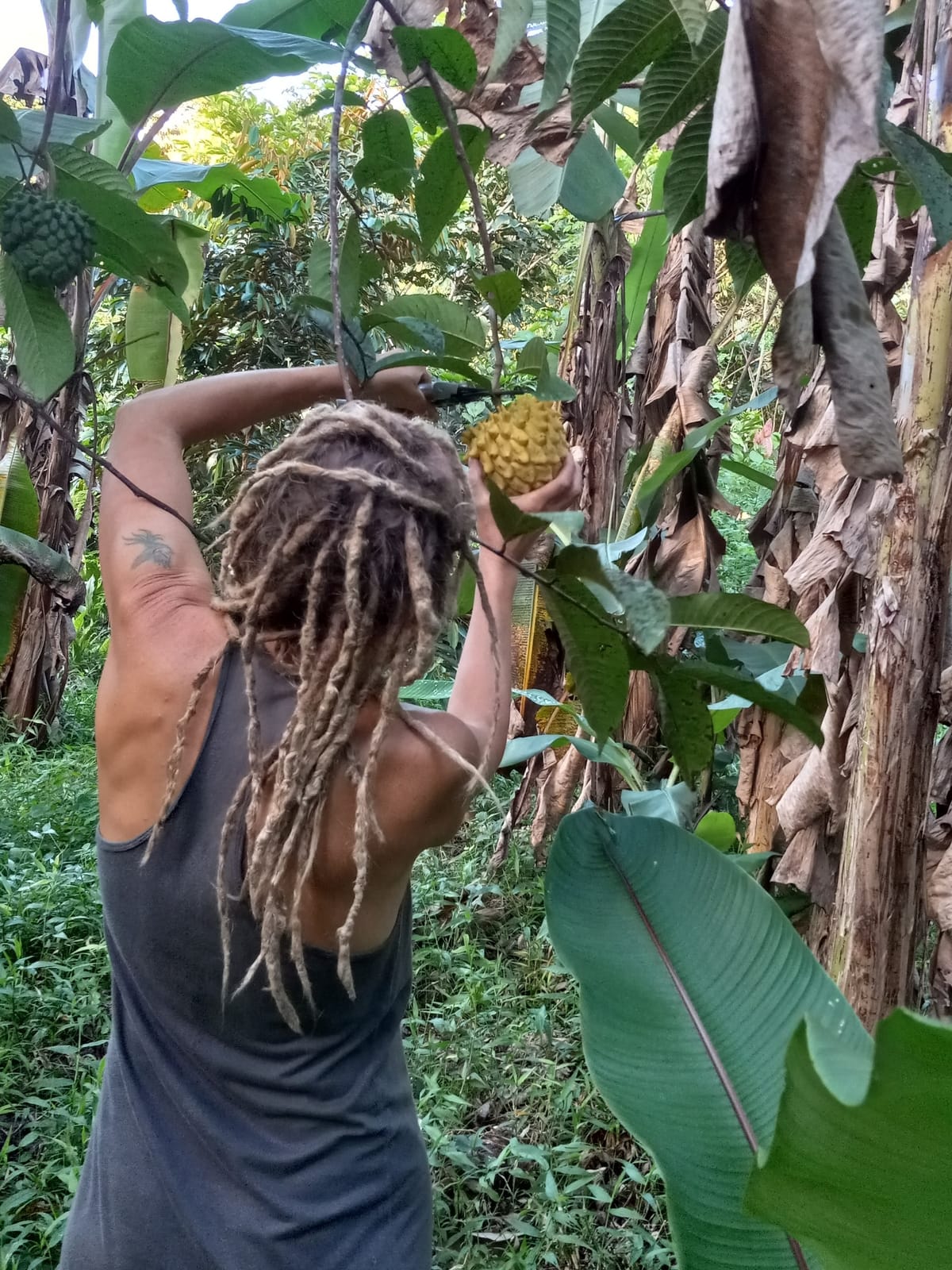 Permaculture at Valle Armonia.