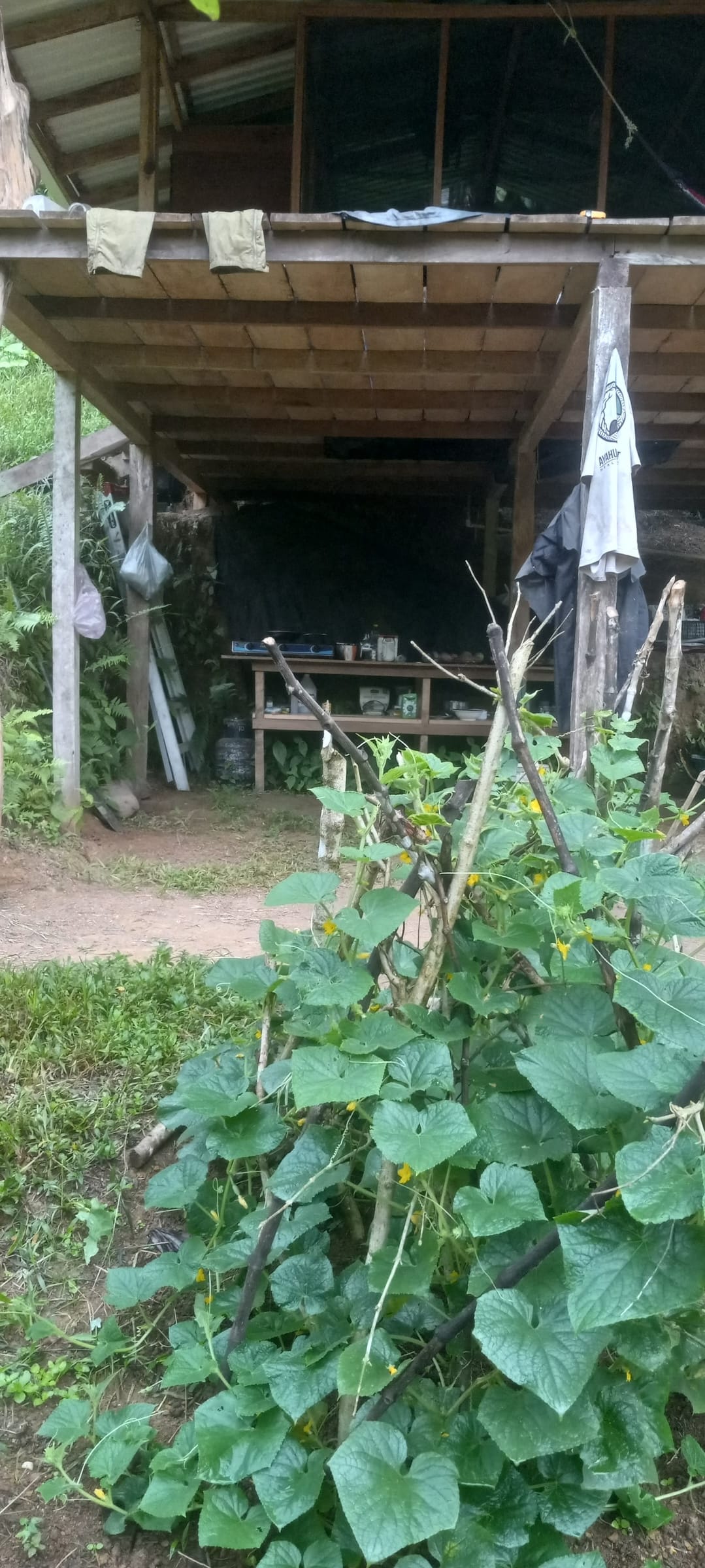 Permaculture at Valle Armonia.