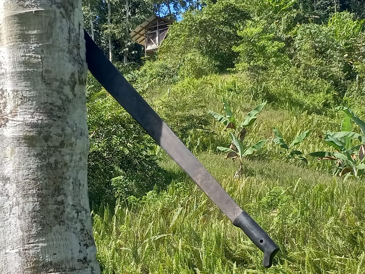 Living in the Valle Armonia Jungle
