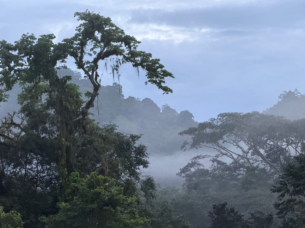 After a rainfall