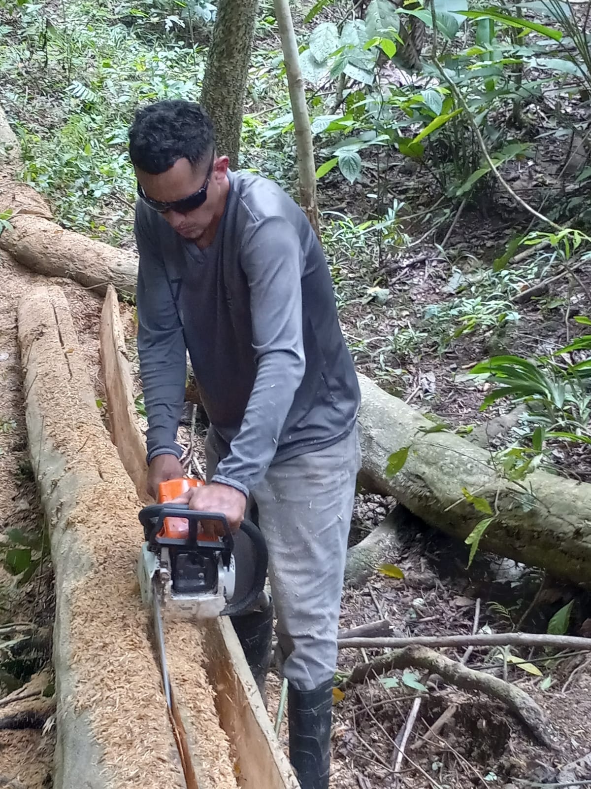 Harvesting Center Beam for roof